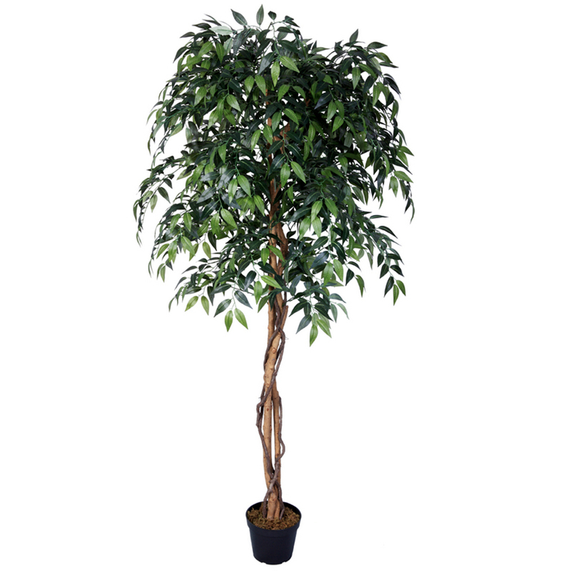 oh02820007 ไม่