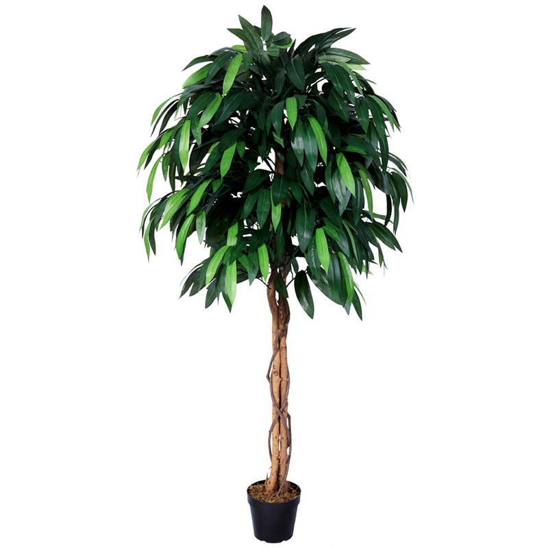 oh02820016 ไม่