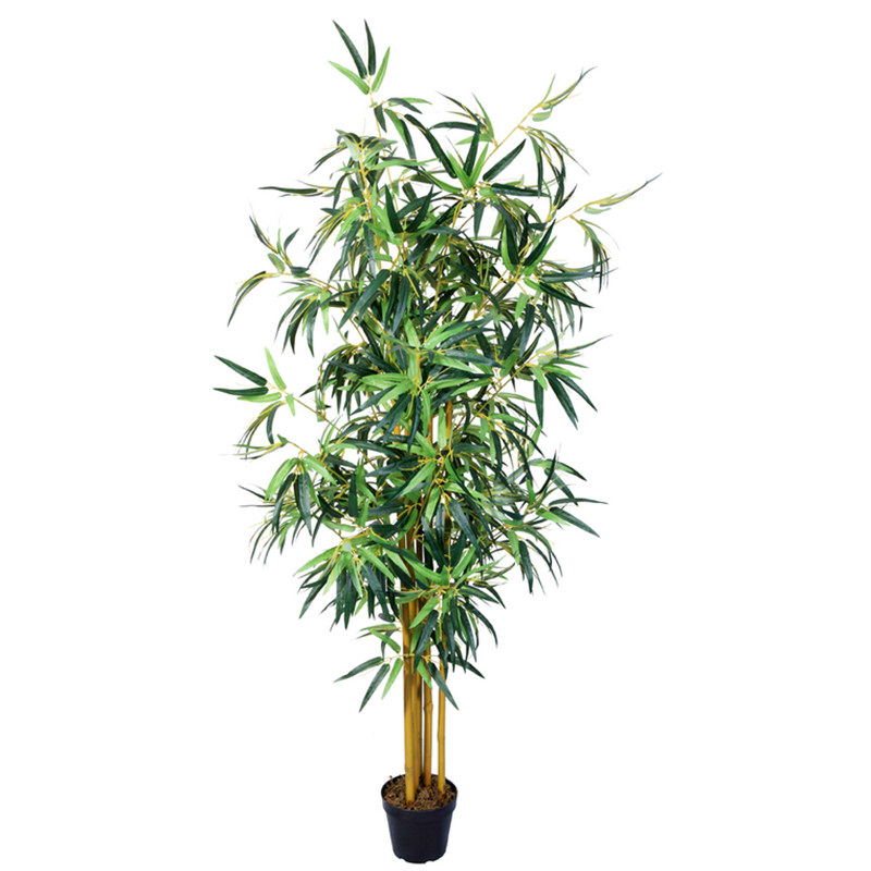 oh02820004 ไม่