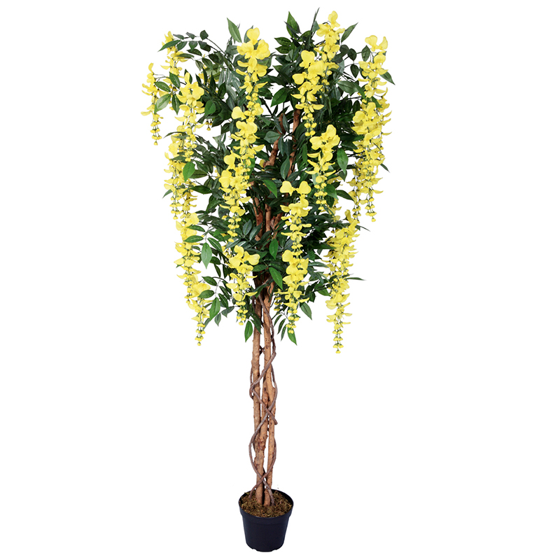 oh02820021 ไม่