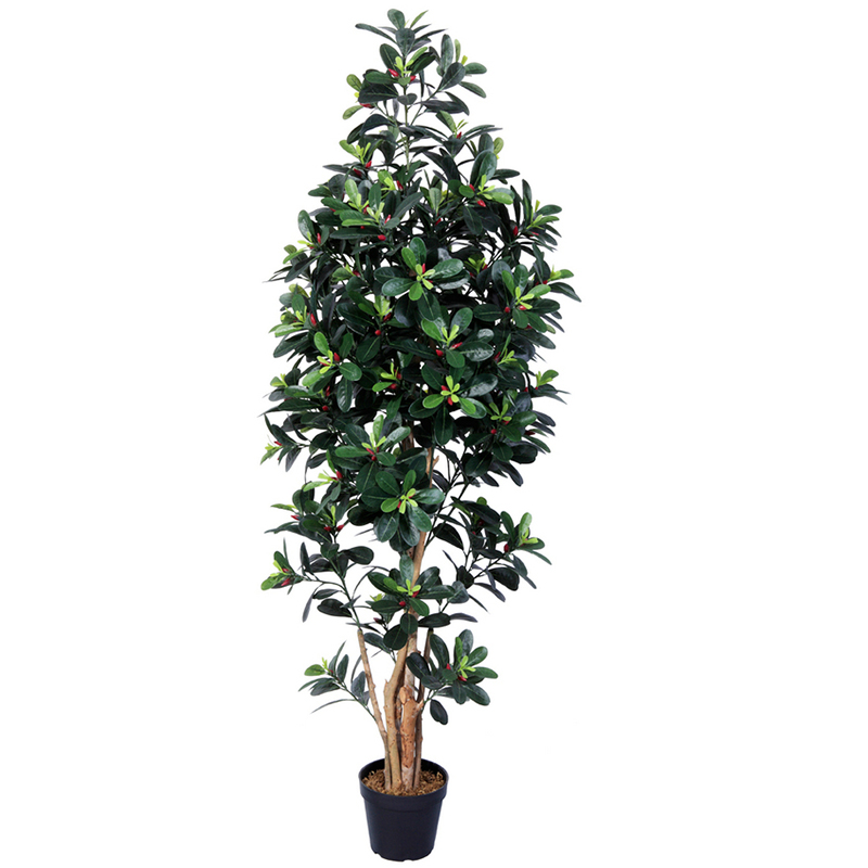 oh028200010 ไม่