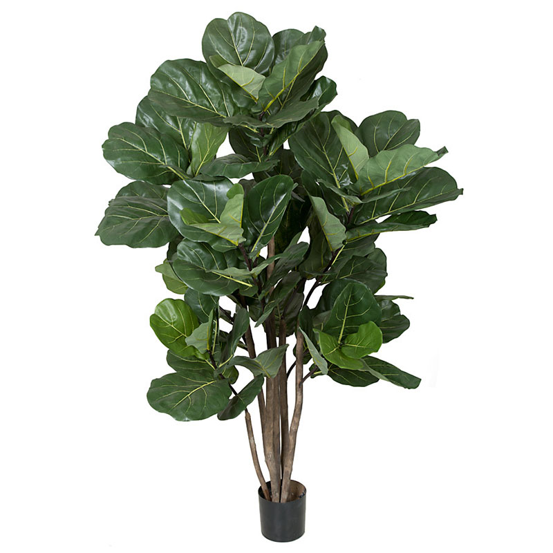 oh016200070 ประเภท