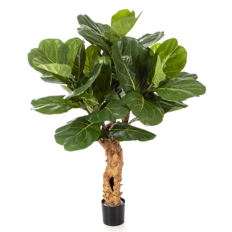 oh016200072 ไม่