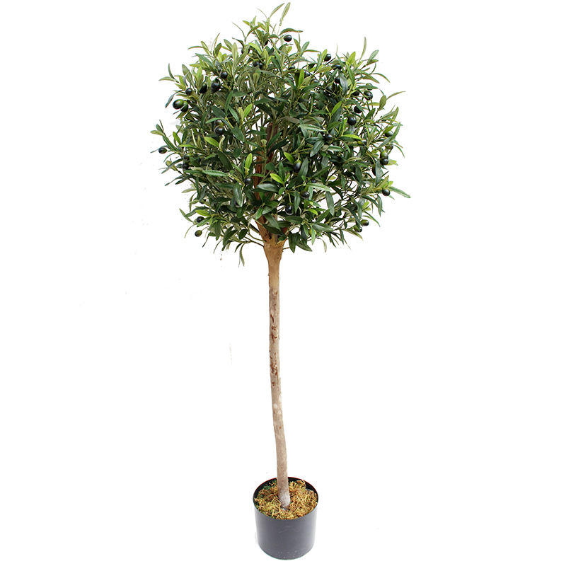 oh016200086 ไม่