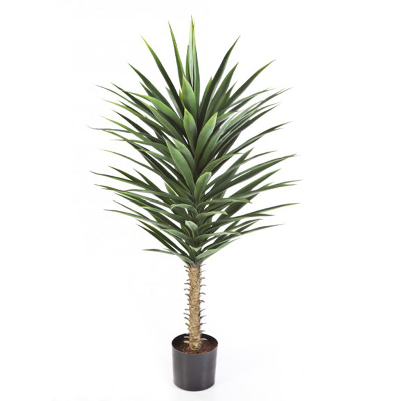 oh016200118 ไม่