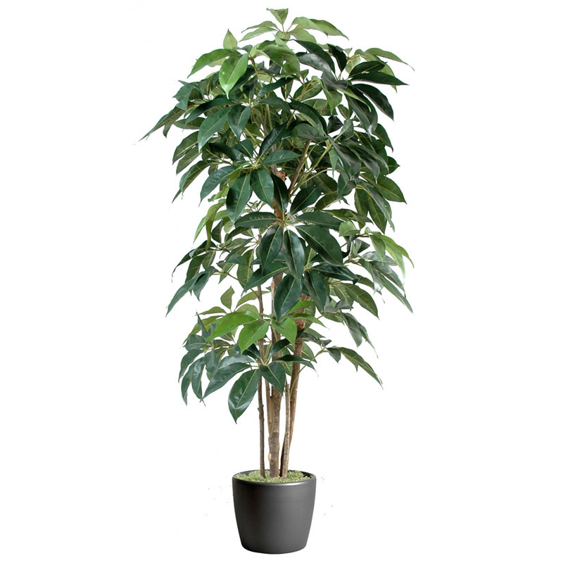 oh0162134 หมายเลข