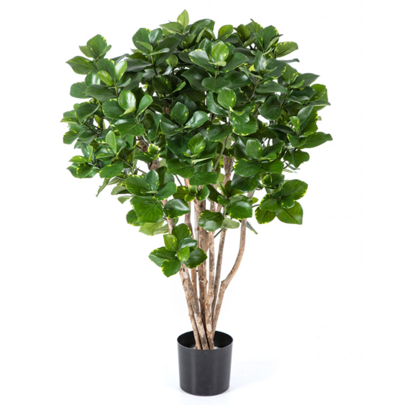 oh016200142 ไม่