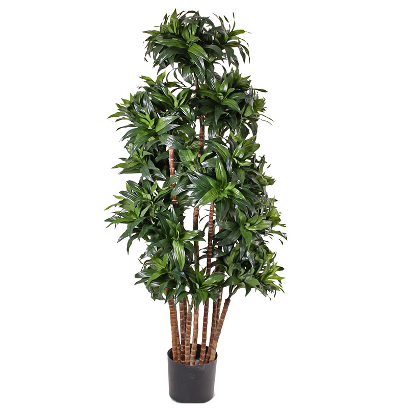 oh016200147 ไม่