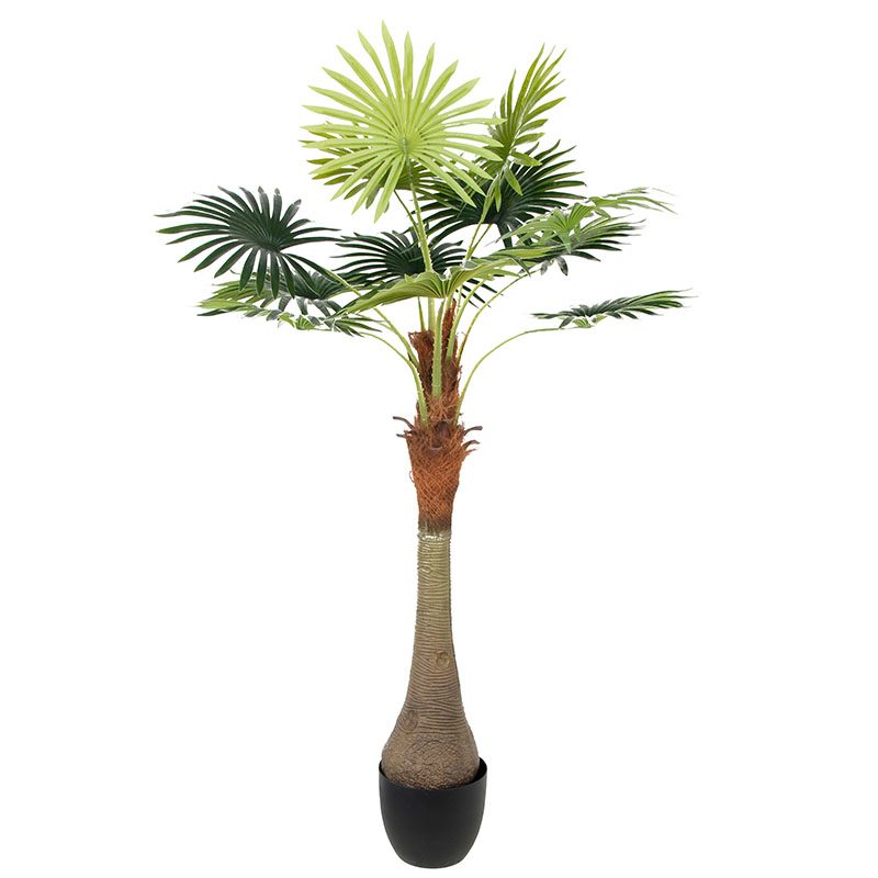 oh02522000 ไม่