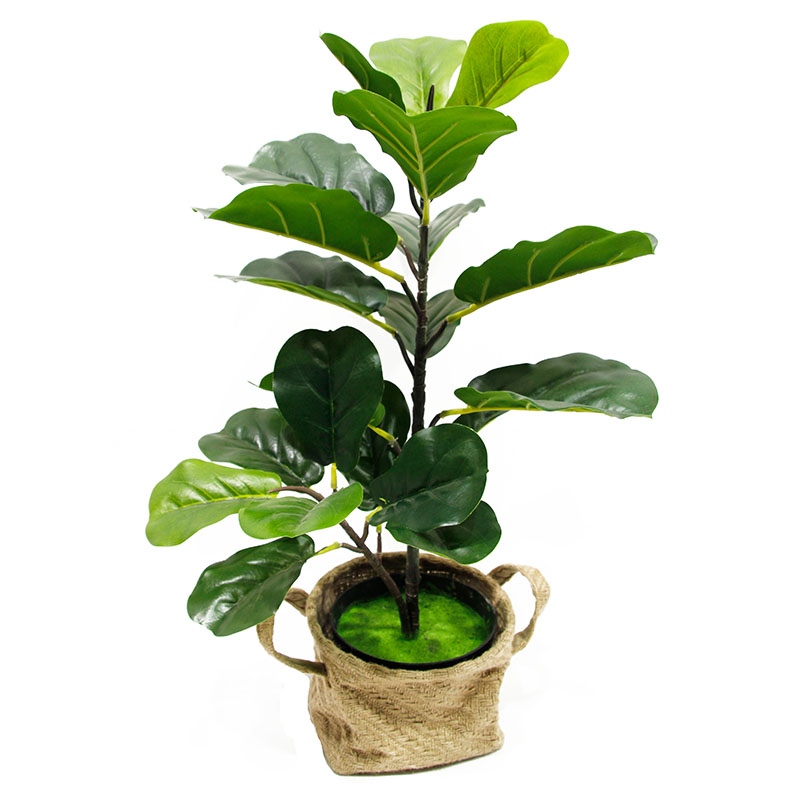 oh025200035 ไม่