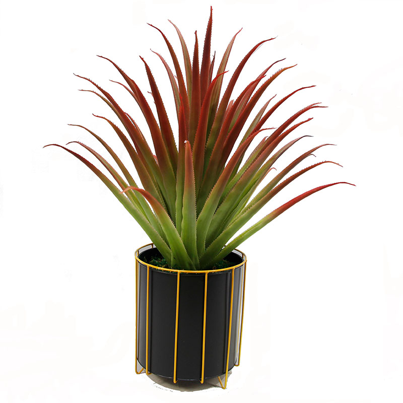 oh025200058 ไม่