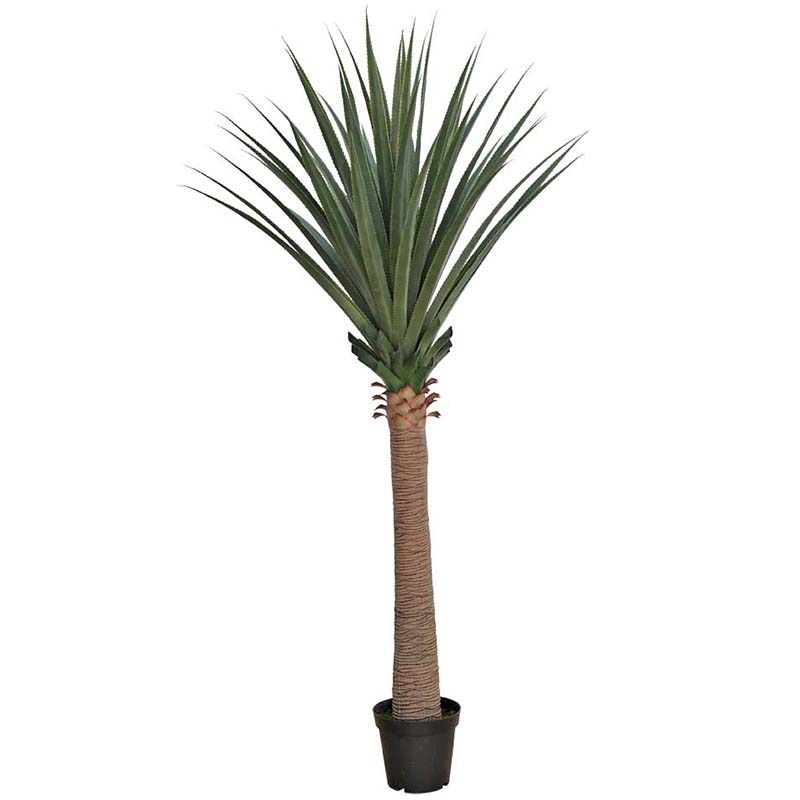 oh01820016 ไม่