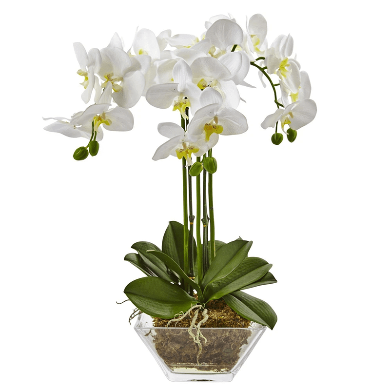 รัฐโอไฮโอ»