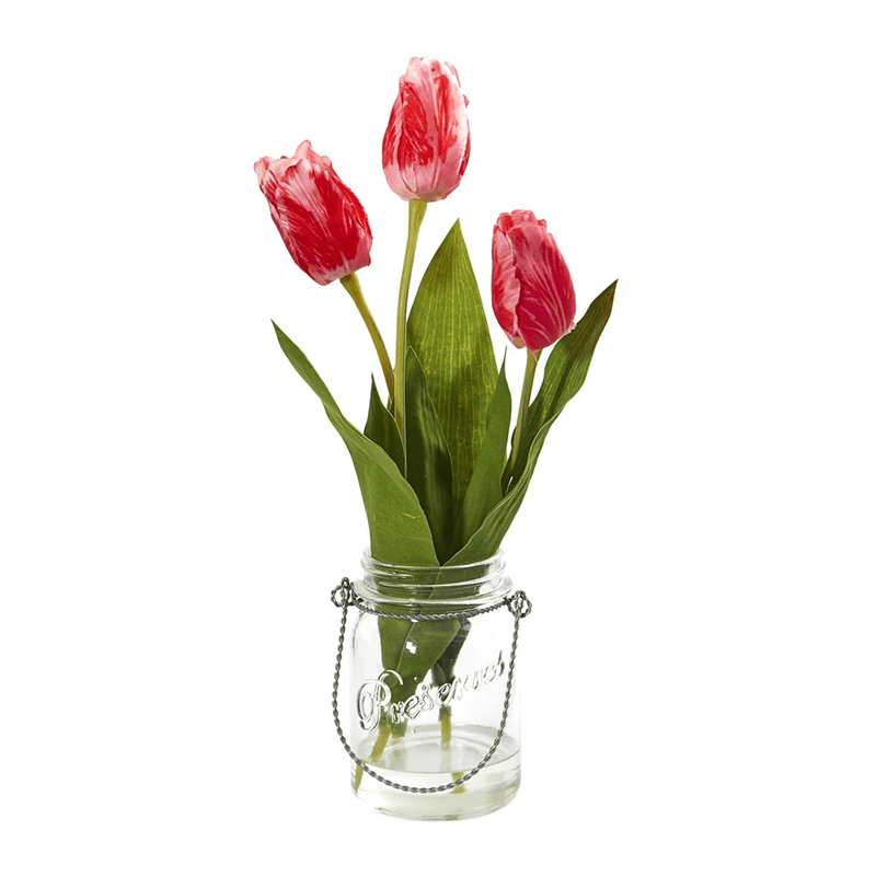 รัฐโอไฮโอ