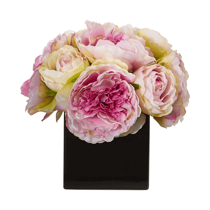 รัฐโอไฮโอ»