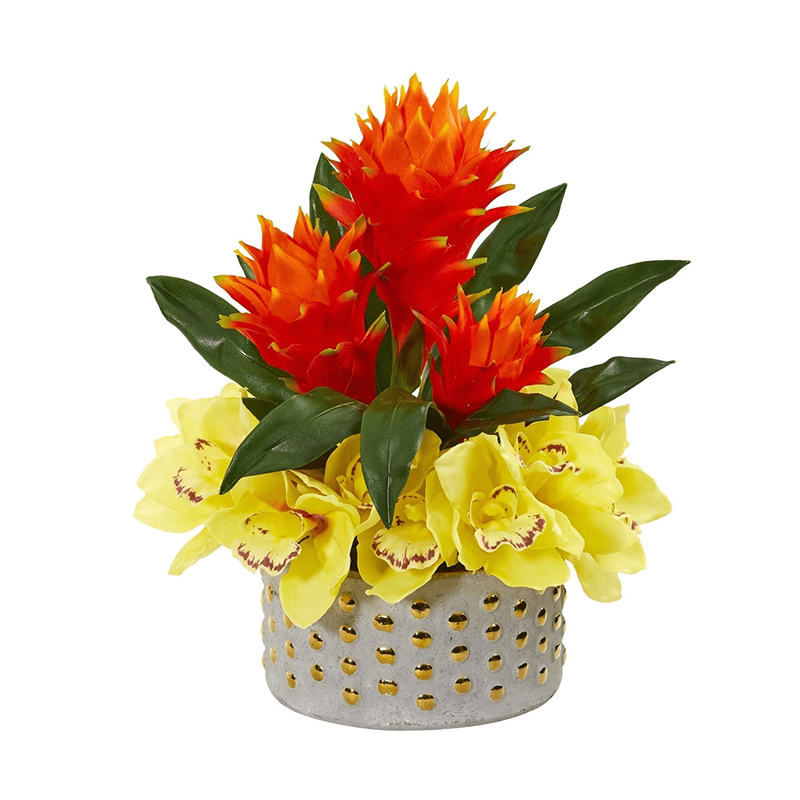 รัฐโอไฮโอ»