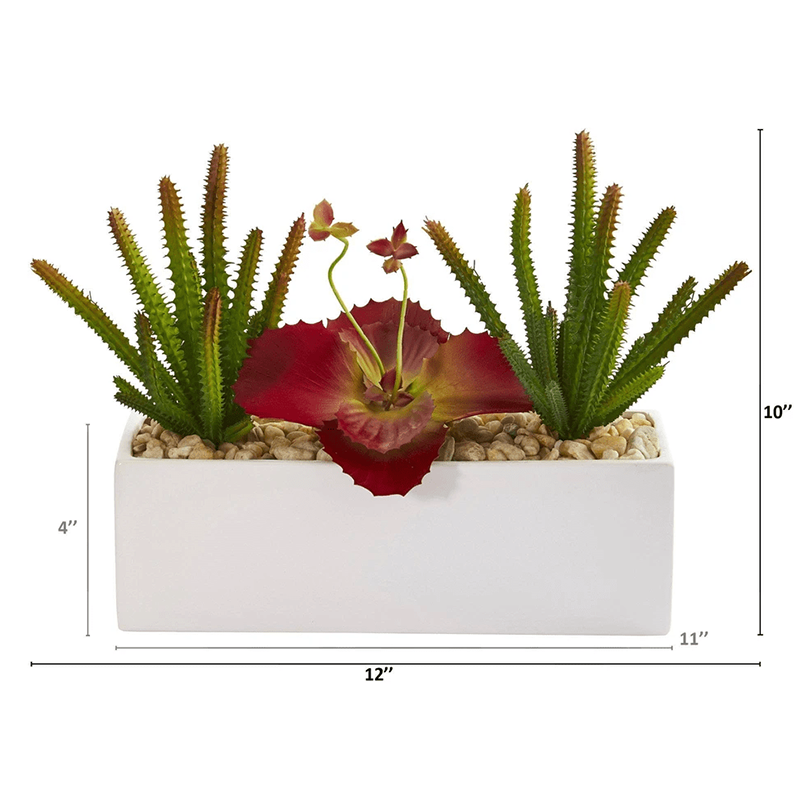 รัฐโอไฮโอ