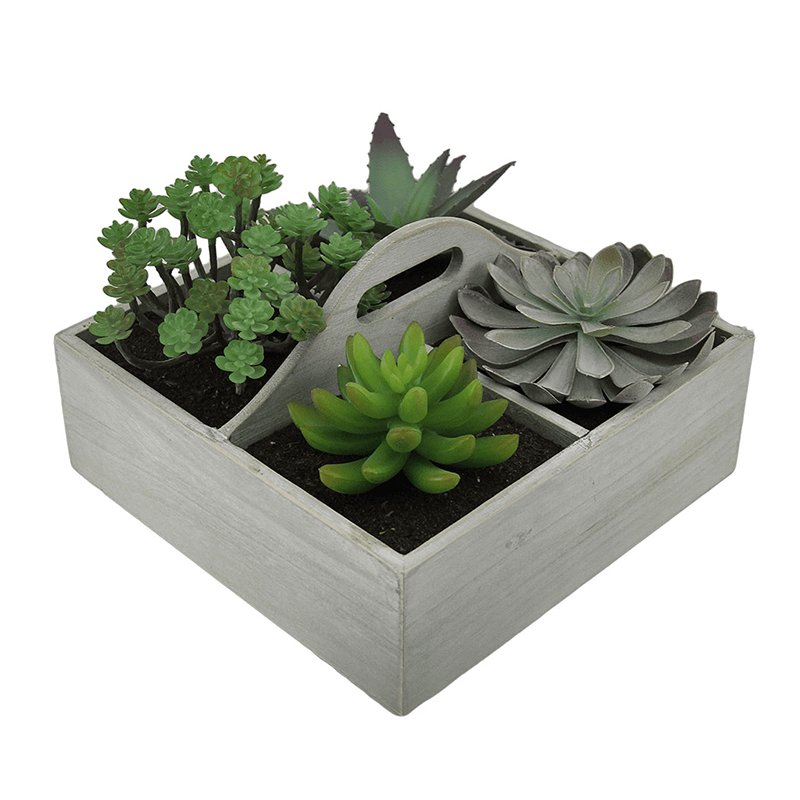 รัฐโอไฮโอ»