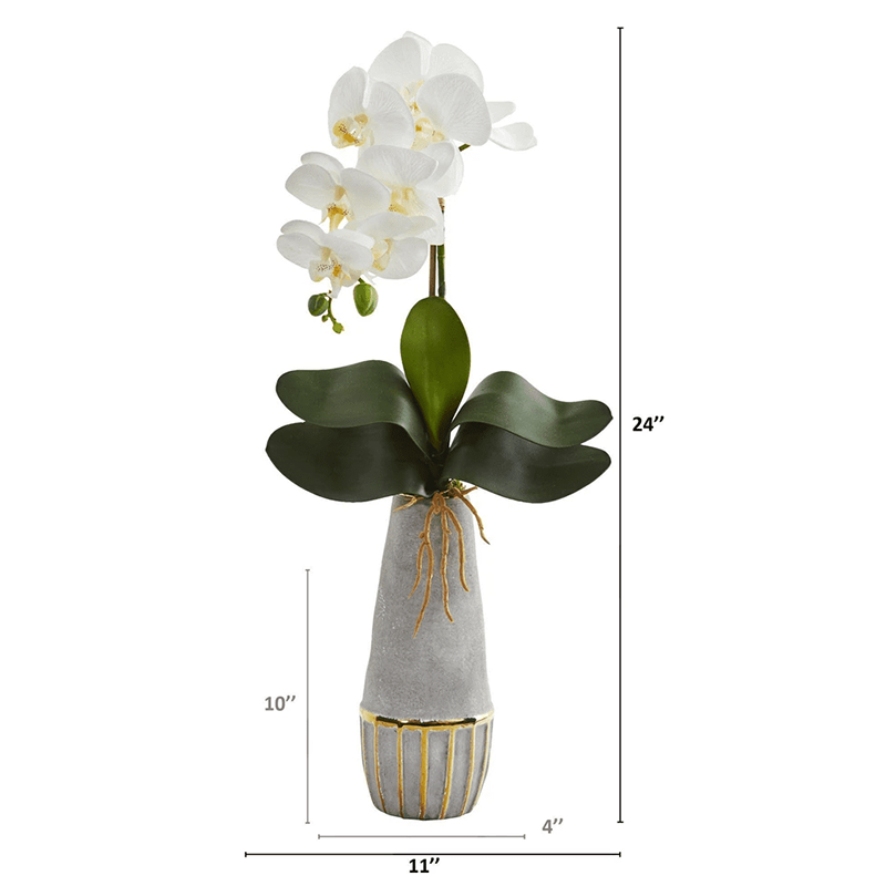 รัฐโอไฮโอ
