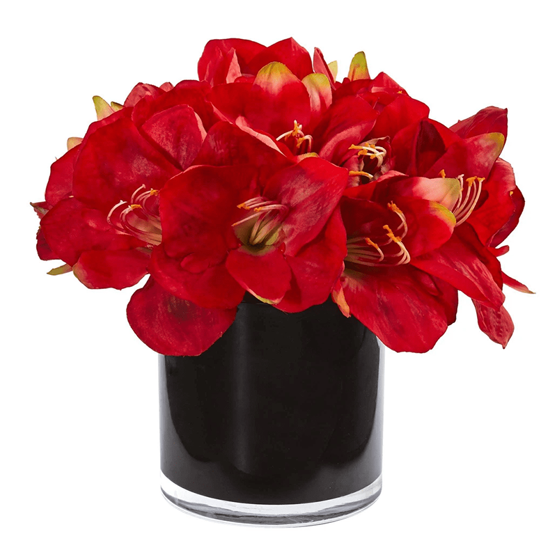 รัฐโอไฮโอ»