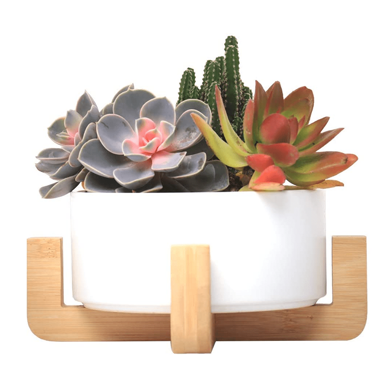 รัฐโอไฮโอ»