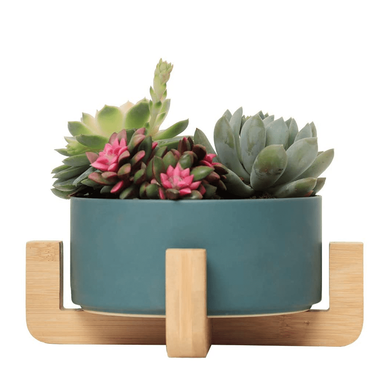 รัฐโอไฮโอ»