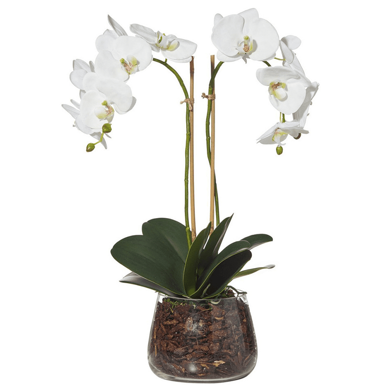 รัฐโอไฮโอจริง