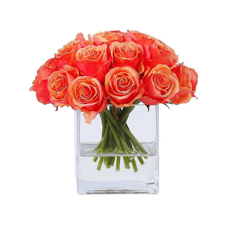 รัฐโอไฮโอจริง