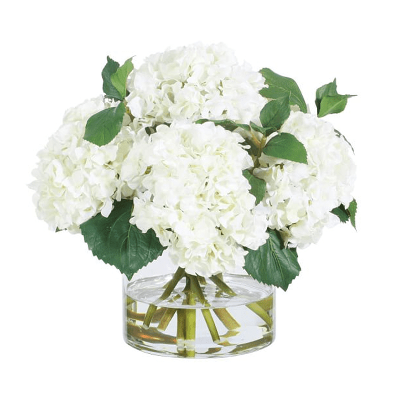 รัฐโอไฮโอ»