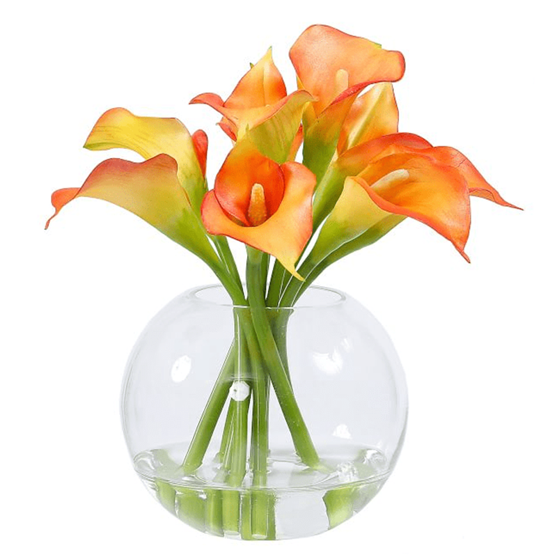 รัฐโอไฮโอ