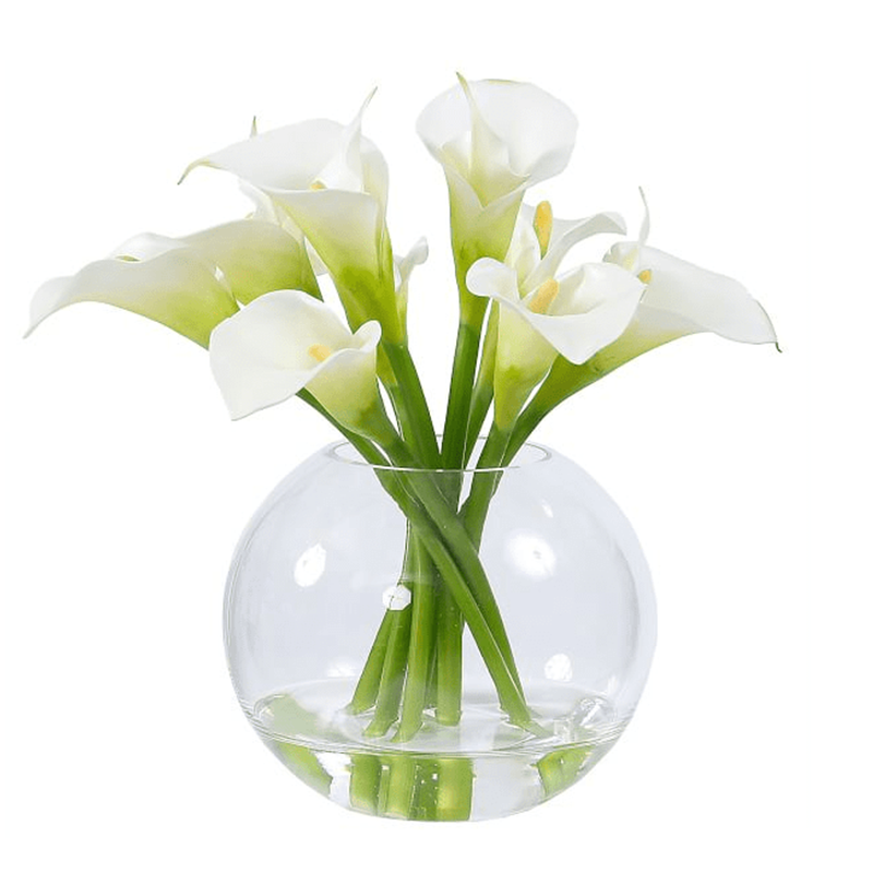 รัฐโอไฮโอ