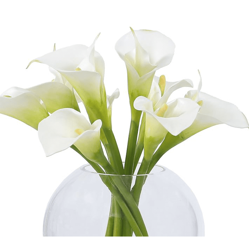 รัฐโอไฮโอ