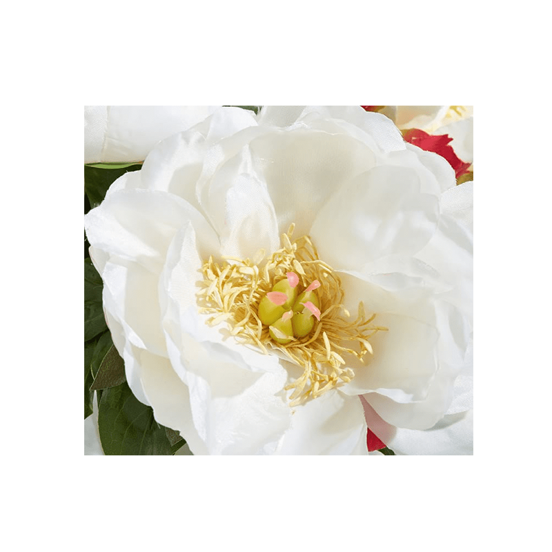 รัฐโอไฮโอจริง