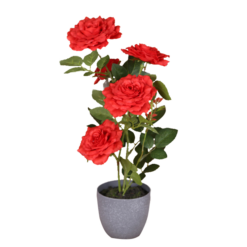 oh093200021 ไม่