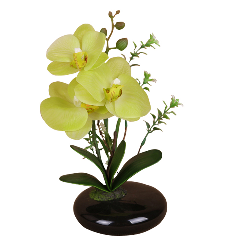 oh0932000029 ไม่