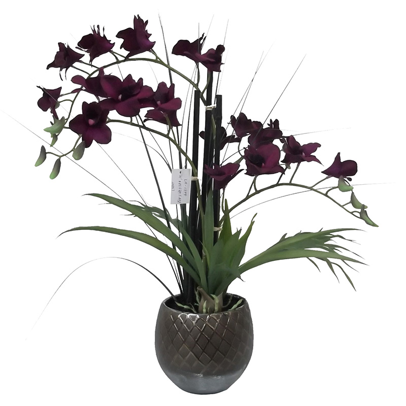 oh00220001 ไม่