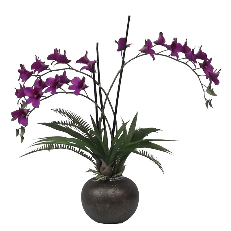 oh00220044 ไม่