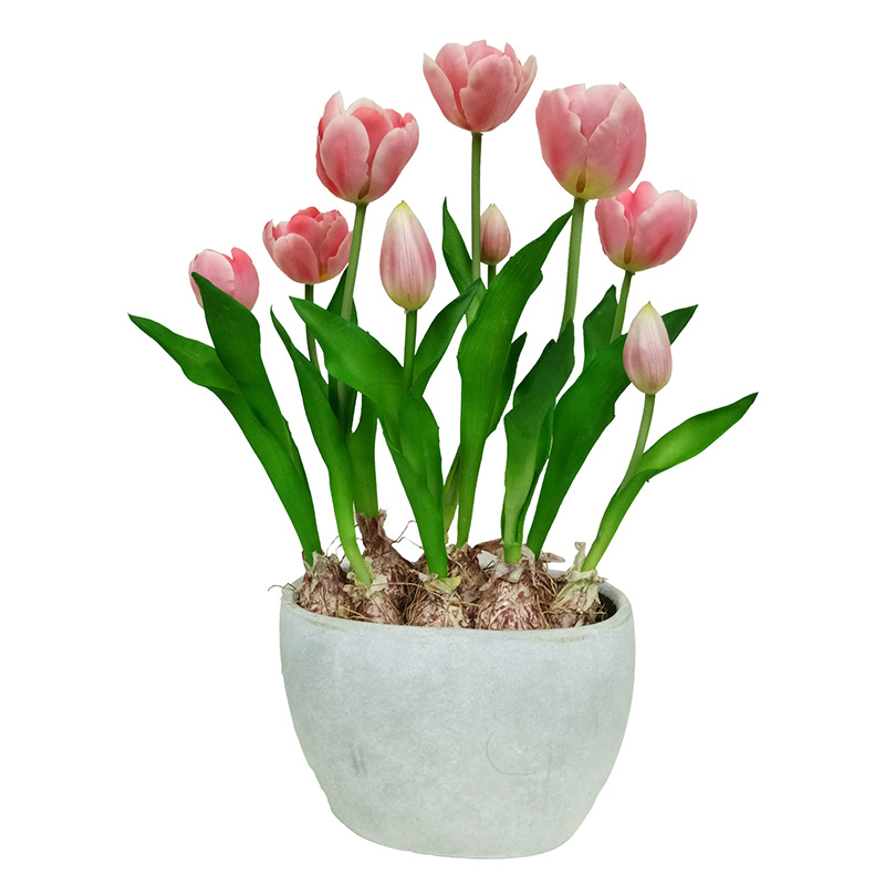 oh002200084 ไม่