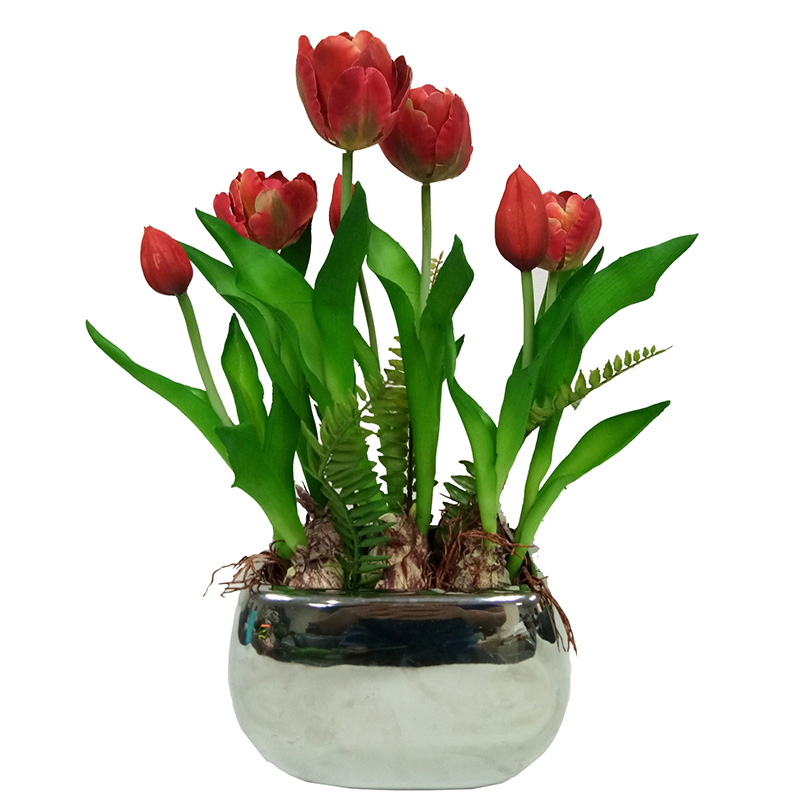 oh002200089 ไม่