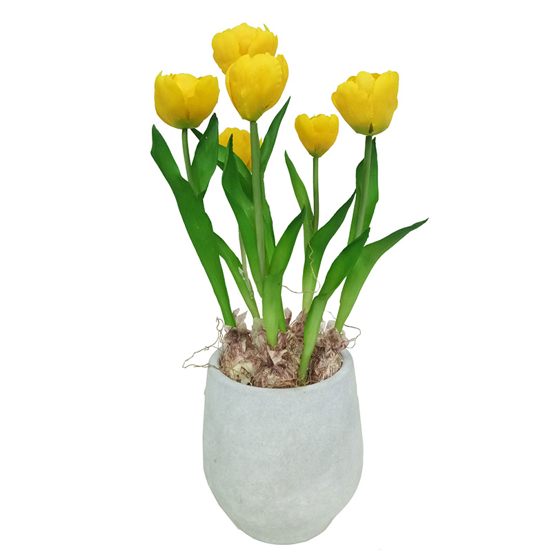 oh00220091 ไม่