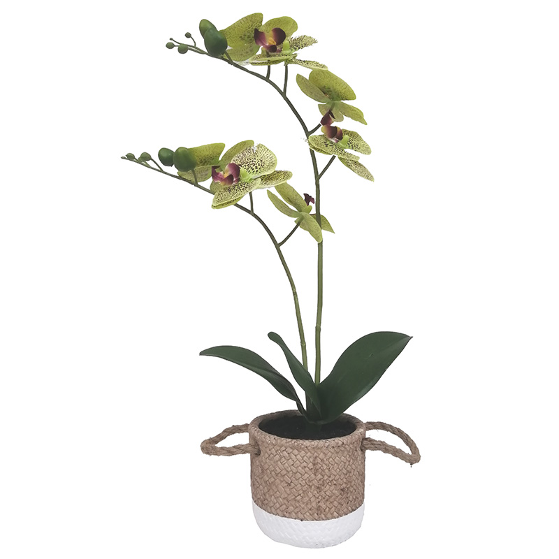 oh002200098 ไม่