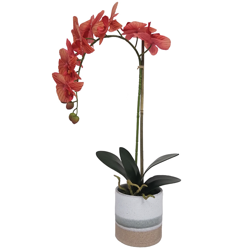 oh002200108 ไม่