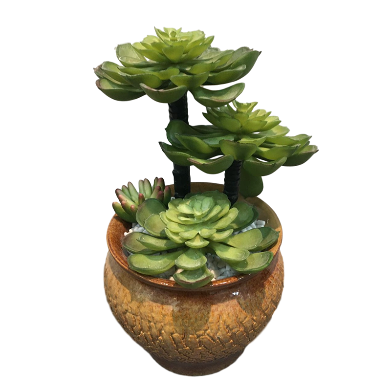 oh10820028 ไม่