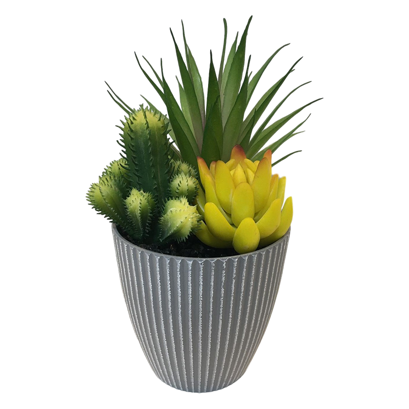 oh108200045 ไม่