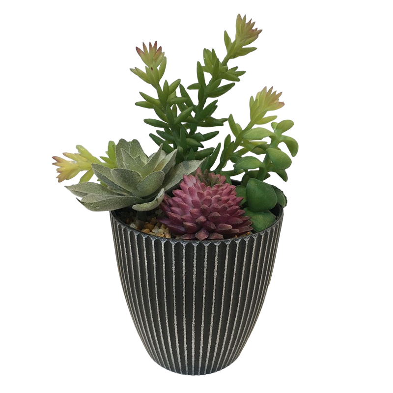 oh108200046 ไม่