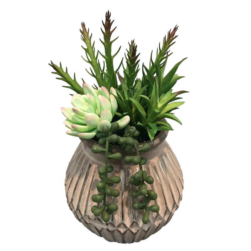 oh10820026 ไม่