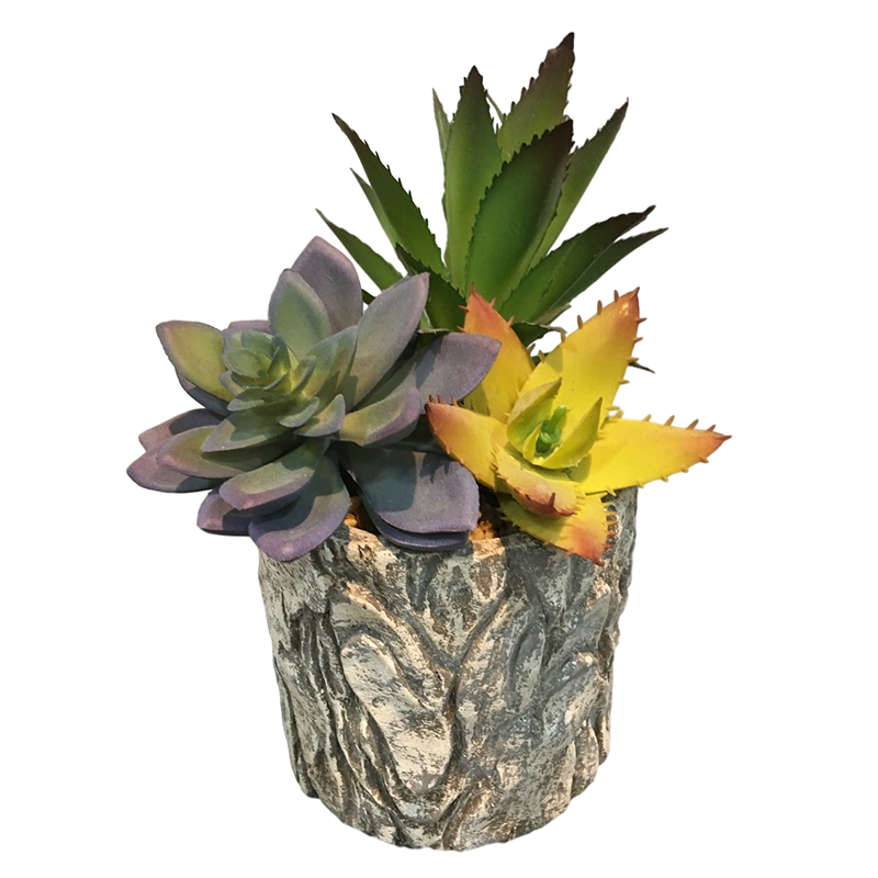 oh10820032 ไม่