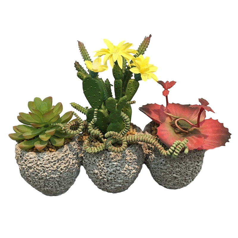 oh10820000 ไม่