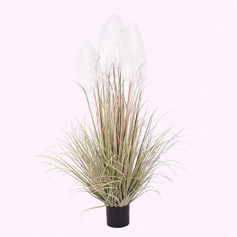 การ oh10920007 และ oh10920008 และ