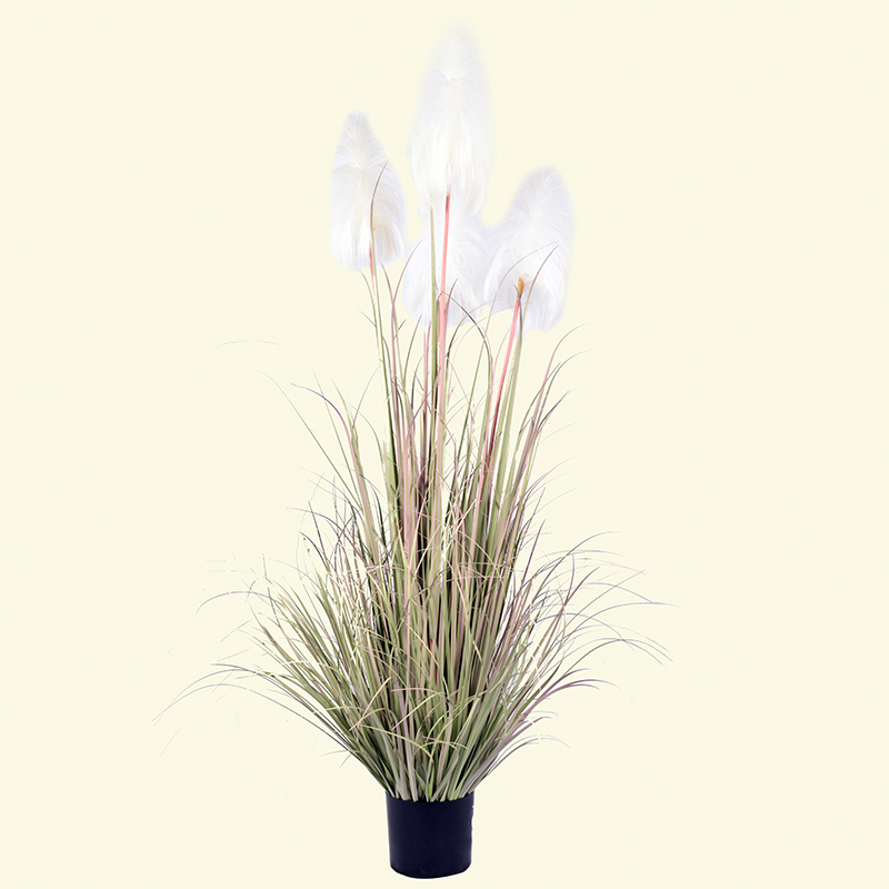 การ oh10920007 และ oh10920008 และ